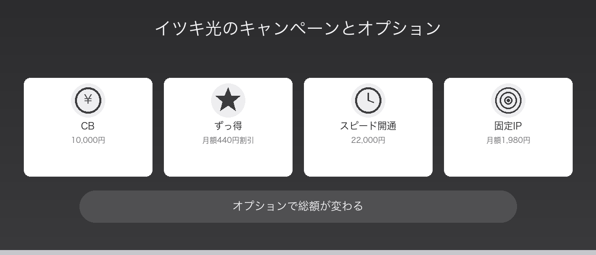 イツキ光のキャンペーンとオプション